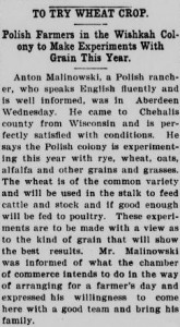 1908malinowskiWheat